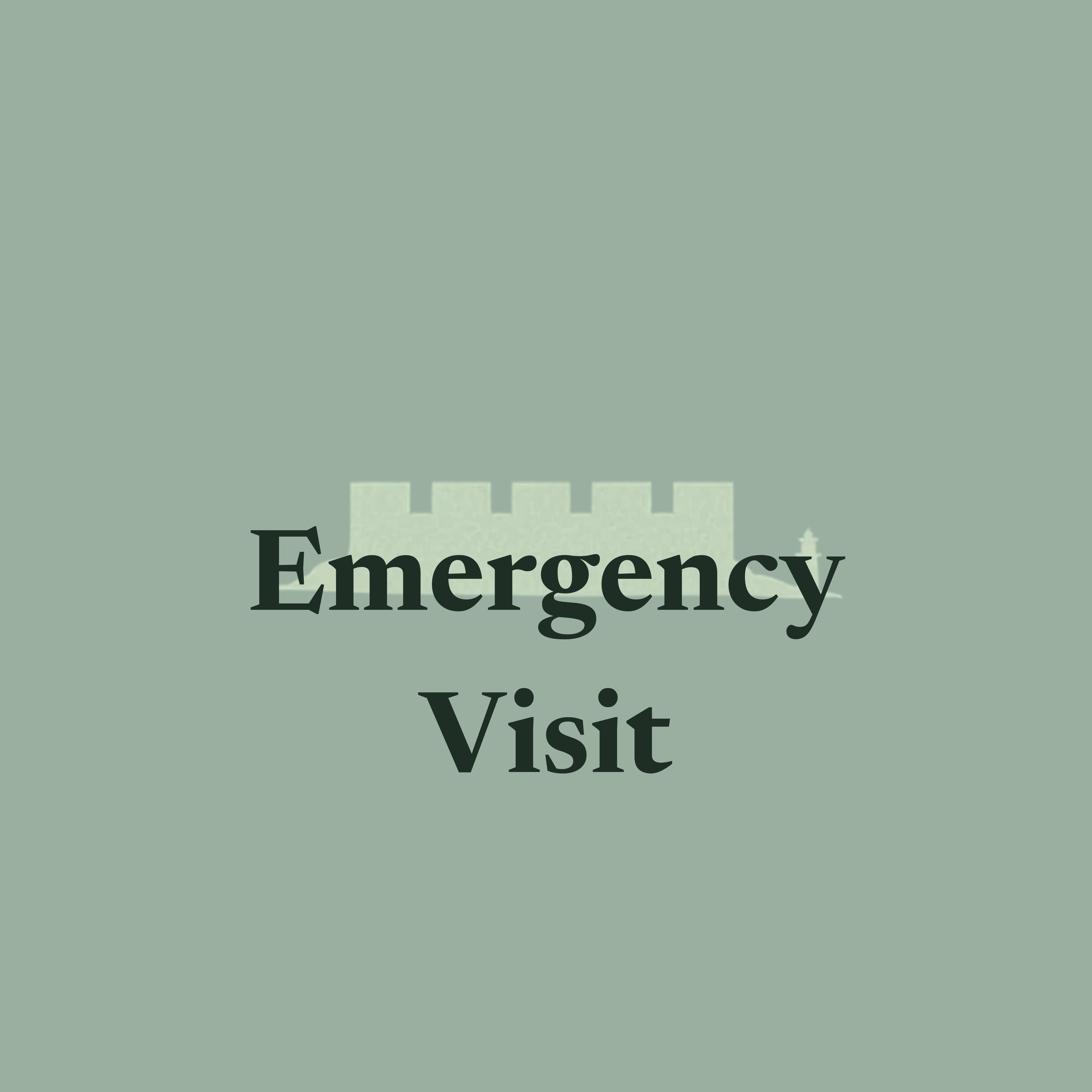 Emergency Property Visit