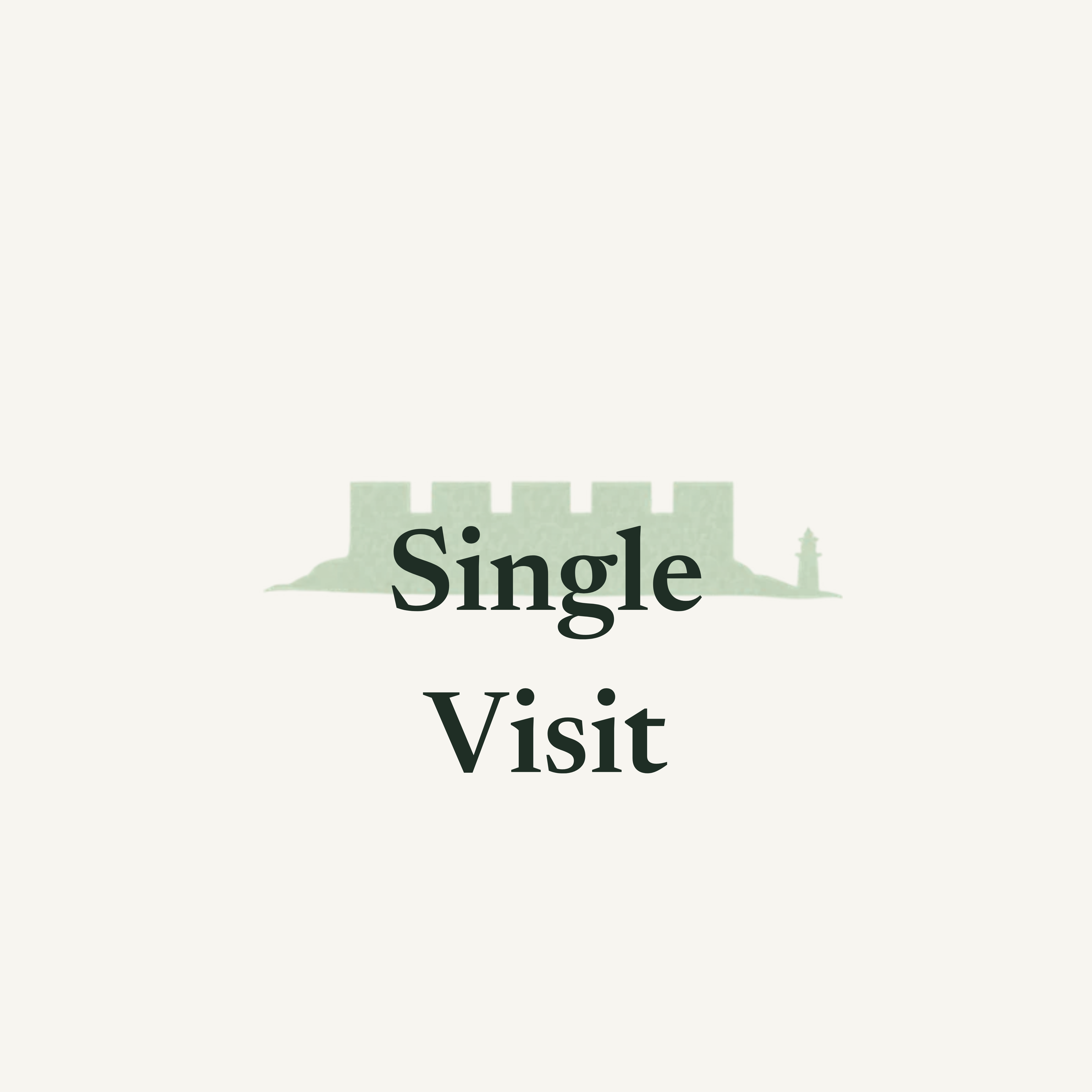 Single Property Visit